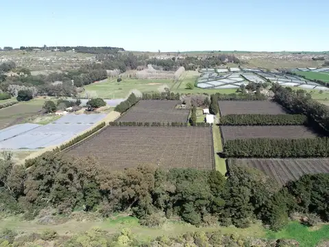 Campo en Venta en Mar del Plata, Partido de General Pueyrredón