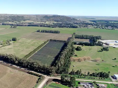 Campo en Venta en Mar del Plata, Partido de General Pueyrredón