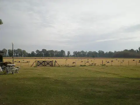 Campo en Venta en Exaltacion de la Cruz, Partido de Exaltación de la Cruz