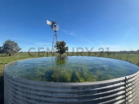 Campo en Venta en General Rodriguez, Partido de General Rodríguez