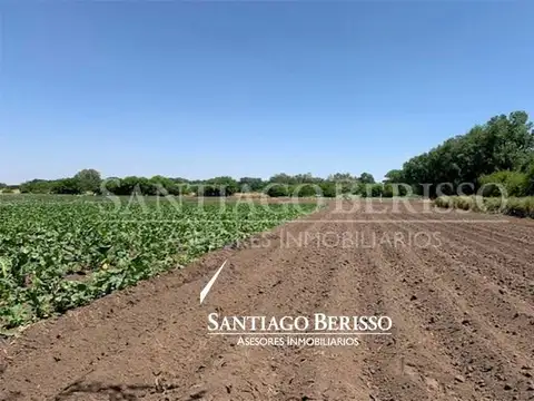 Campo en Venta en Parada Robles, Partido de Exaltación de la Cruz