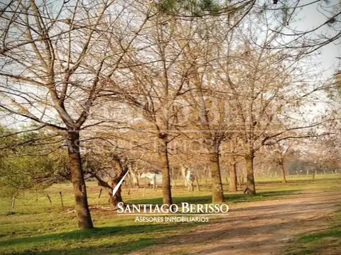 Campo en Venta en Exaltacion de la Cruz, Partido de Exaltación de la Cruz