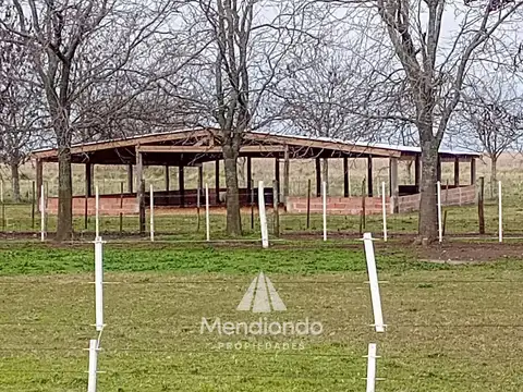 Campo en Venta en La Ballenera, Partido de General Alvarado