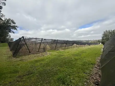 Campo en Venta en Mar del Plata, Partido de General Pueyrredón