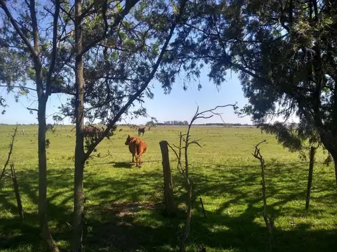 Campo en Venta en San Pedro, Partido de San Pedro