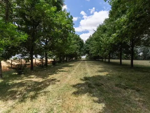 Campo en Venta en San Antonio de Areco, Partido de San Antonio de Areco