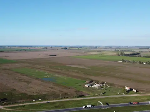 Campo en Venta en Villa Ramallo, Partido de Ramallo