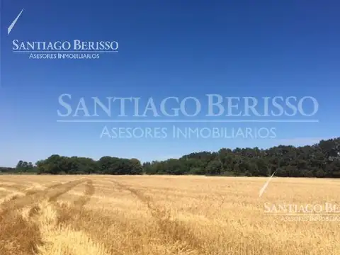 Campo en Venta en Zarate, Partido de Zárate