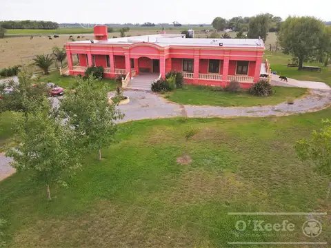 Campo en Venta en San Andres de Giles, Partido de San Andrés de Giles