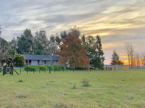 Campo en Venta en Chascomus, Partido de Chascomús