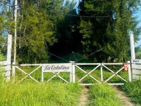 Campo en Venta en Coronel Brandsen, Partido de Brandsen