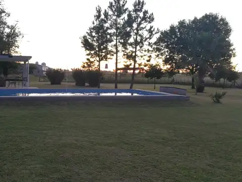 Campo en Venta en Tomas Jofre, Partido de Mercedes