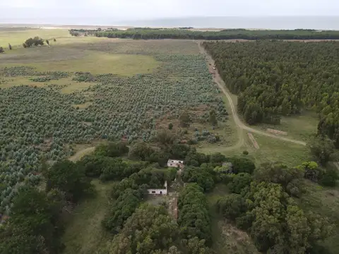 Campo en Venta en Necochea, Partido de Necochea