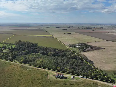 Campo en Venta en Carmen de Areco, Partido de Carmen de Areco