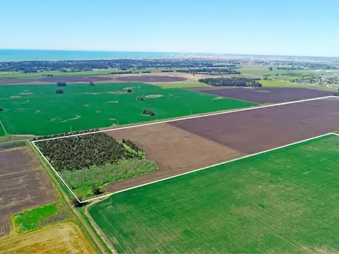 Campo en Venta en Mar del Plata, Partido de General Pueyrredón