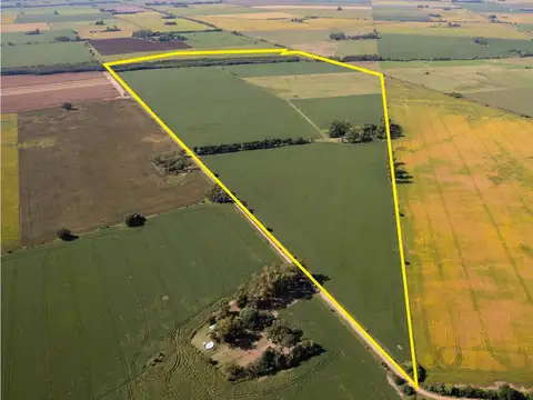 Campo en Venta en Arrecifes, Partido de Arrecifes