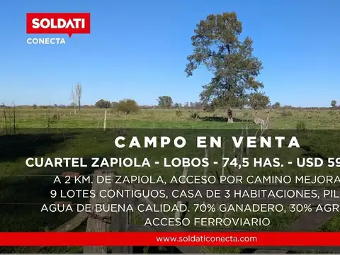 Campo en Venta en Zapiola, Partido de Lobos