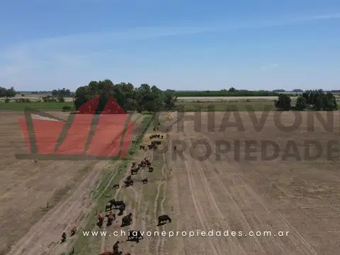 Campo en Venta en Plomer, Partido de General Las Heras