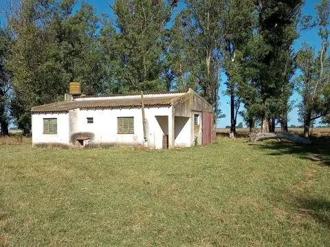 Campo en Venta en Rauch, Partido de Rauch
