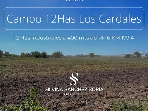 Campo en Venta en Los Cardales, Partido de Exaltación de la Cruz