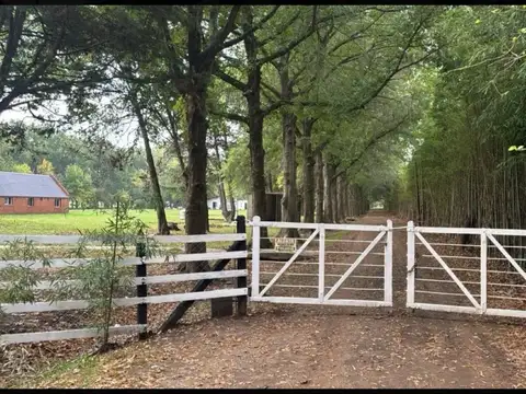 Campo en Venta en Los Cardales, Partido de Exaltación de la Cruz
