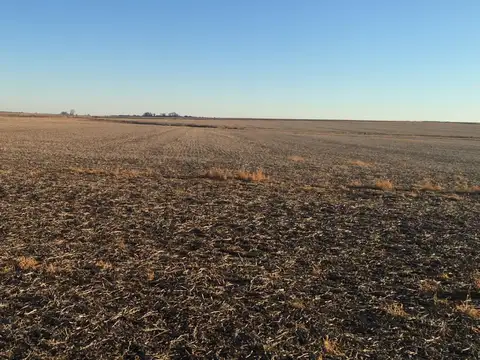 Campo en Venta en Baradero, Partido de Baradero