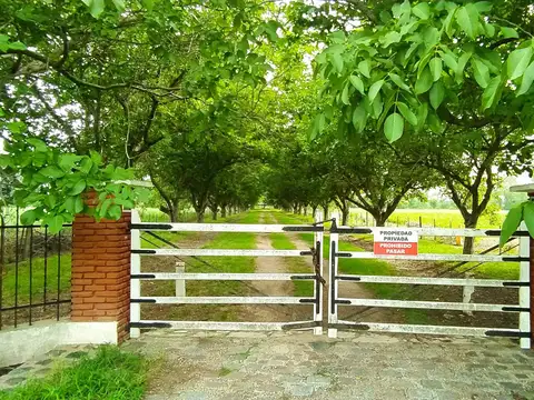 Campo en Venta en Lima, Partido de Zárate