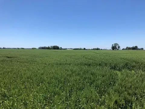 Campo en Venta en Cucullu, Partido de San Andrés de Giles