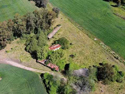 Campo en Venta en Mar del Plata, Partido de General Pueyrredón