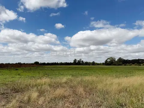 Campo en Venta en 20 de Junio, Partido de La Matanza