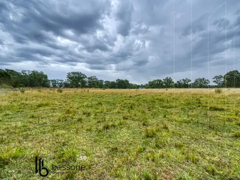Campo en Venta en Mar del Plata, Partido de General Pueyrredón