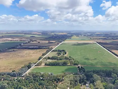 Campo en Venta en Mar del Plata, Partido de General Pueyrredón