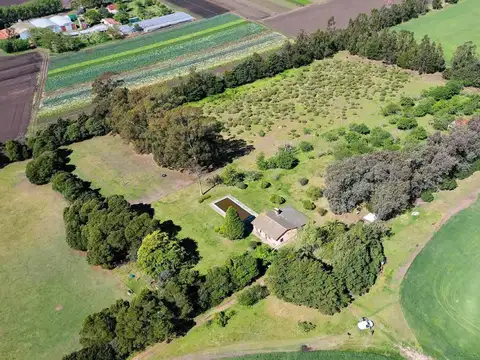 Campo en Venta en Mechongue, Partido de General Alvarado