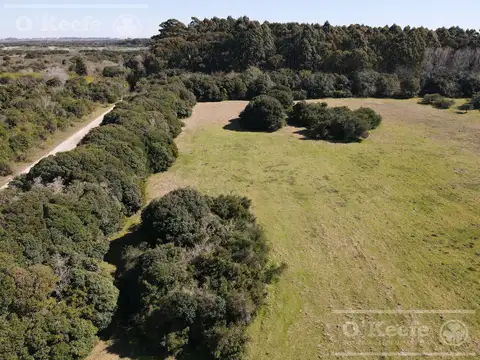 Campo en Venta en Magdalena, Partido de Magdalena