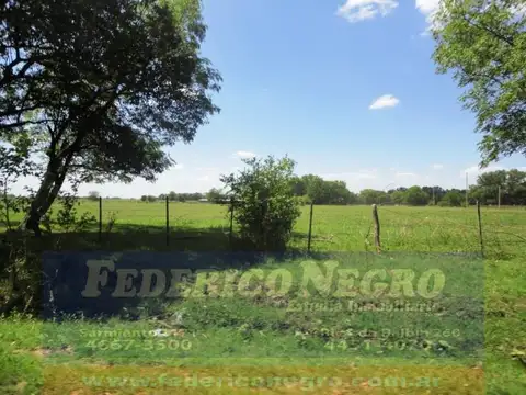 Campo en Venta en General Rodriguez, Partido de General Rodríguez
