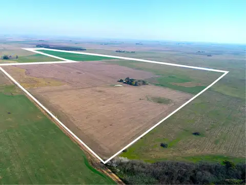 Campo en Venta en Balcarce, Partido de Balcarce