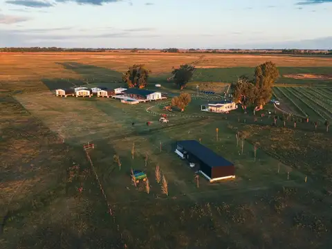 Campo en Venta en Saladillo, Partido de Saladillo