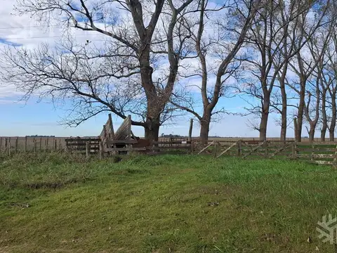 Campo en Venta en Comandante Giribone, Partido de Chascomús