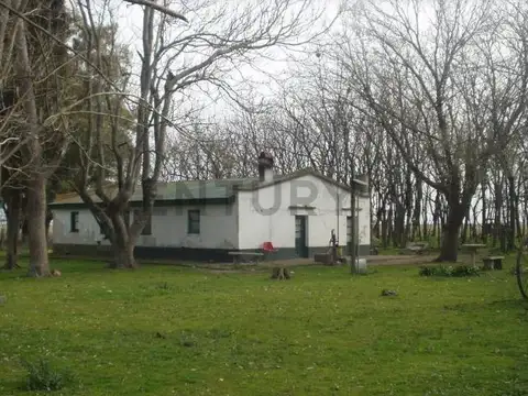 Campo en Venta en Chascomus, Partido de Chascomús