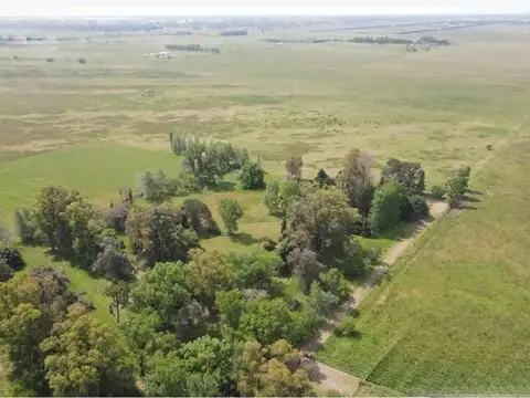 Campo en Venta en Gomez de la Vega, Partido de Brandsen