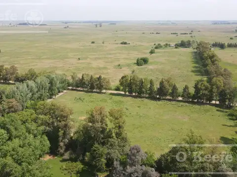 Campo en Venta en Coronel Brandsen, Partido de Brandsen