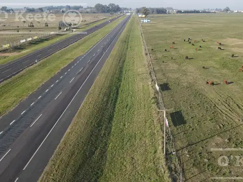Campo en Venta en Coronel Brandsen, Partido de Brandsen