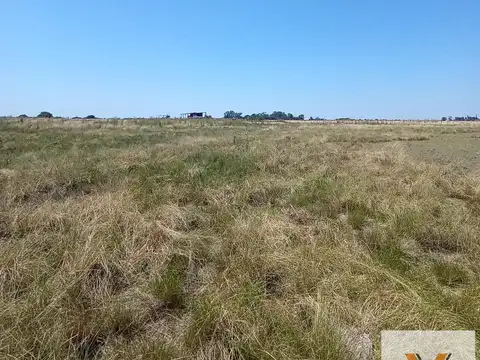 Campo en Venta en San Nicolas de los Arroyos, Partido de San Nicolás