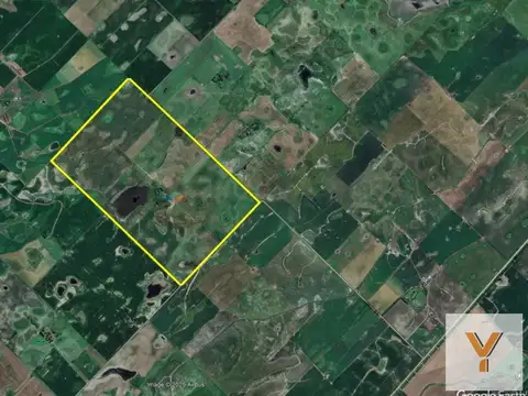 Campo en Venta en Bolivar, Partido de Bolívar
