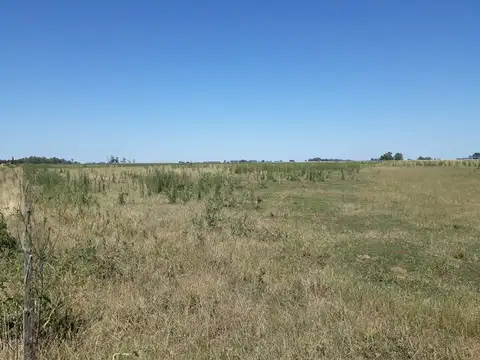 Campo en Venta en Bolivar, Partido de Bolívar