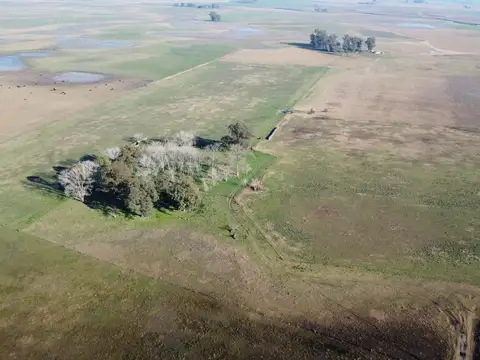 Campo en Venta en Del Carril, Partido de Saladillo