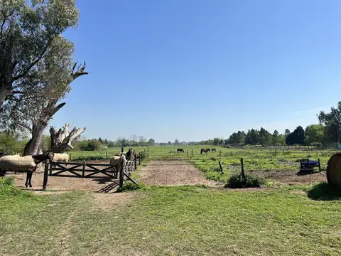 Campo en Venta en Manzanares, Partido de Pilar