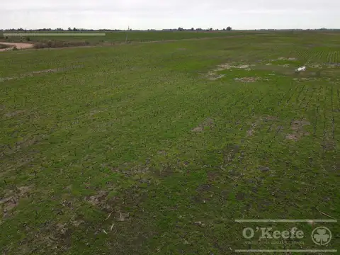 Campo en Venta en General las Heras, Partido de General Las Heras