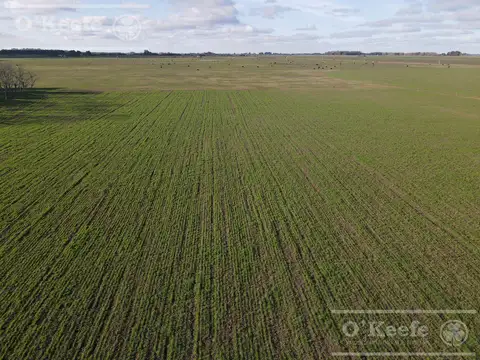 Campo en Venta en La Plata, Partido de La Plata