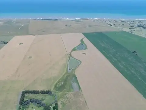 Campo en Venta en Mar del Plata, Partido de General Pueyrredón